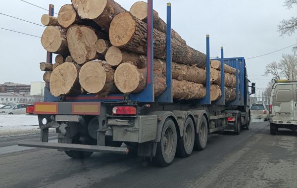 Поиск транспорта для перевозки леса, бревен и кругляка - Благовещенск, цены, предложения специалистов