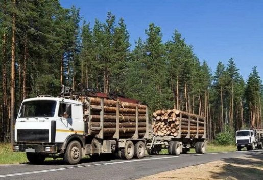 Лесовоз Лесовозы для перевозки леса, аренда и услуги. взять в аренду, заказать, цены, услуги - Благовещенск