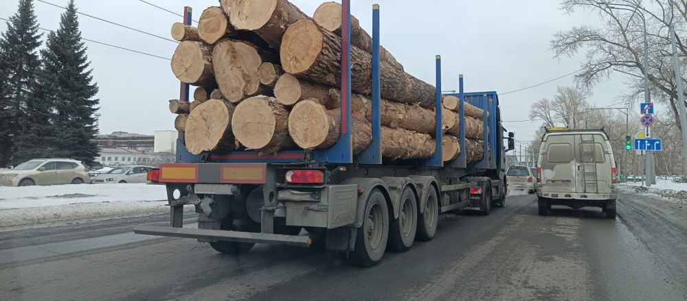 Поиск транспорта для перевозки леса, бревен и кругляка стоимость услуг и где заказать - Благовещенск