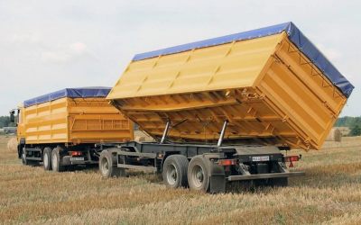 Услуги зерновозов для перевозки зерна - Благовещенск, цены, предложения специалистов